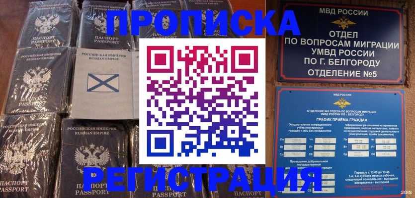 прописка гарантия в Елабуге